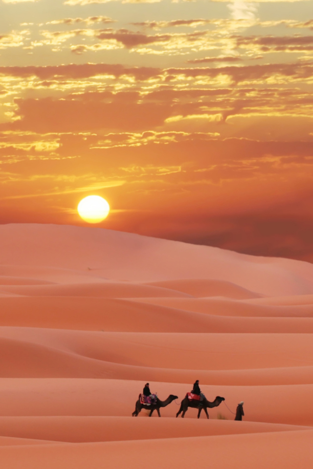 Fondo de pantalla Sahara Desert 640x960
