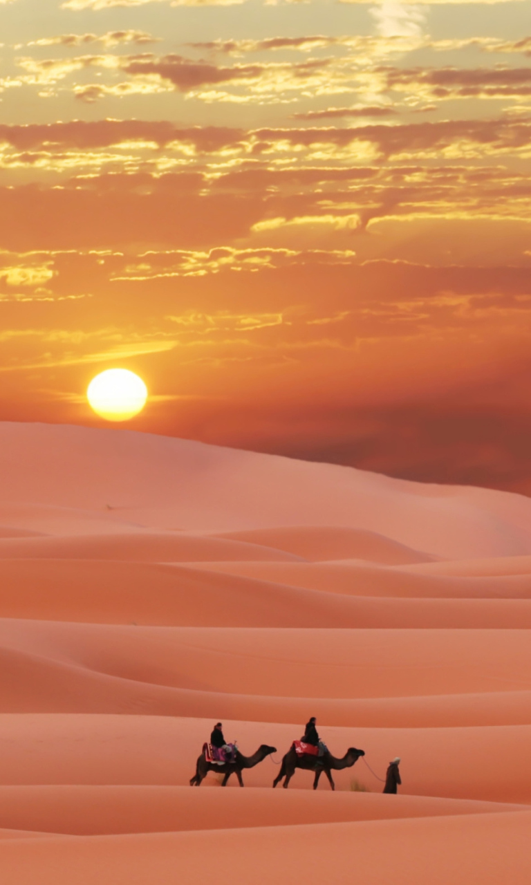 Das Sahara Desert Wallpaper 768x1280