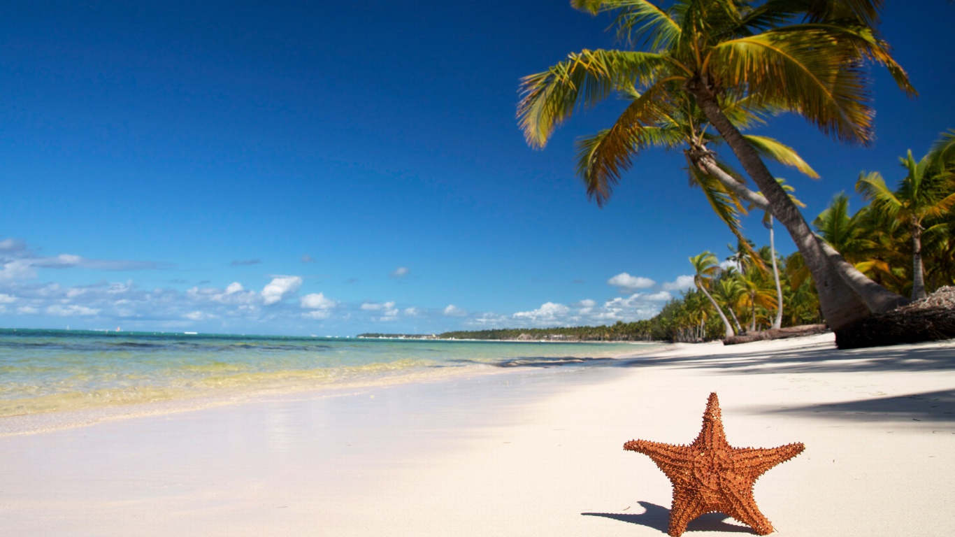 Lopes Mendes Most Beautiful Beach wallpaper 1366x768