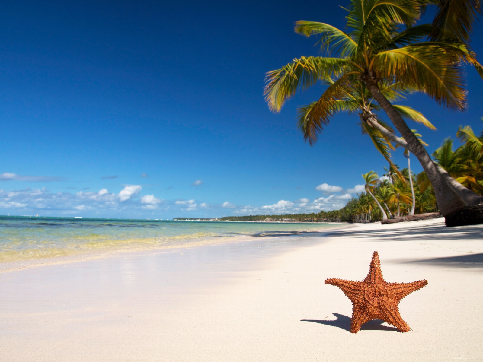 Lopes Mendes Most Beautiful Beach wallpaper 1600x1200