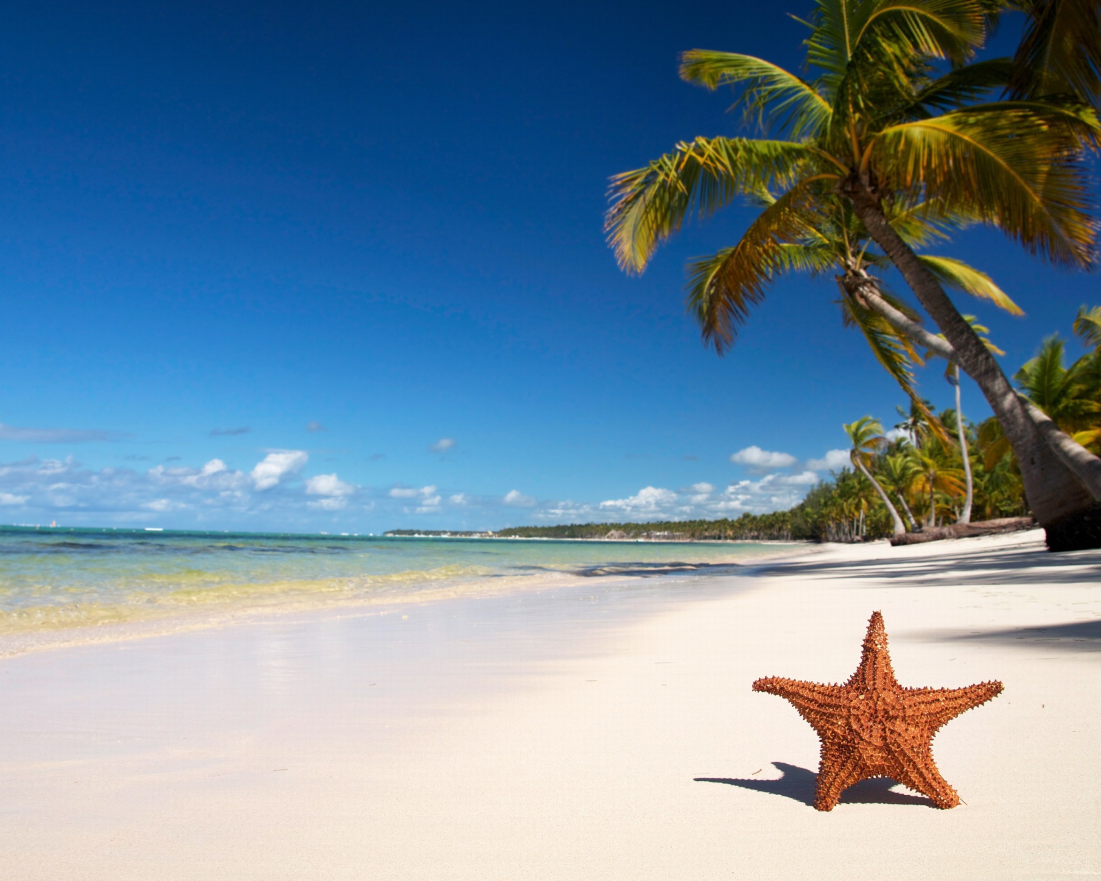 Das Lopes Mendes Most Beautiful Beach Wallpaper 1600x1280