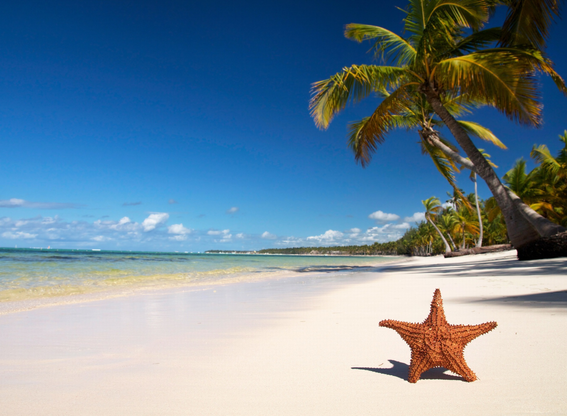 Das Lopes Mendes Most Beautiful Beach Wallpaper 1920x1408