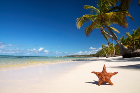 Das Lopes Mendes Most Beautiful Beach Wallpaper 480x320