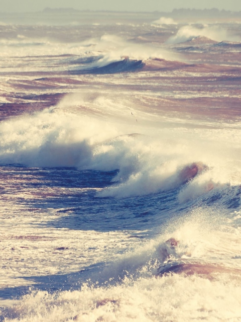 Foamy Waves screenshot #1 480x640