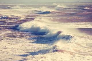Free Foamy Waves Picture for Android, iPhone and iPad
