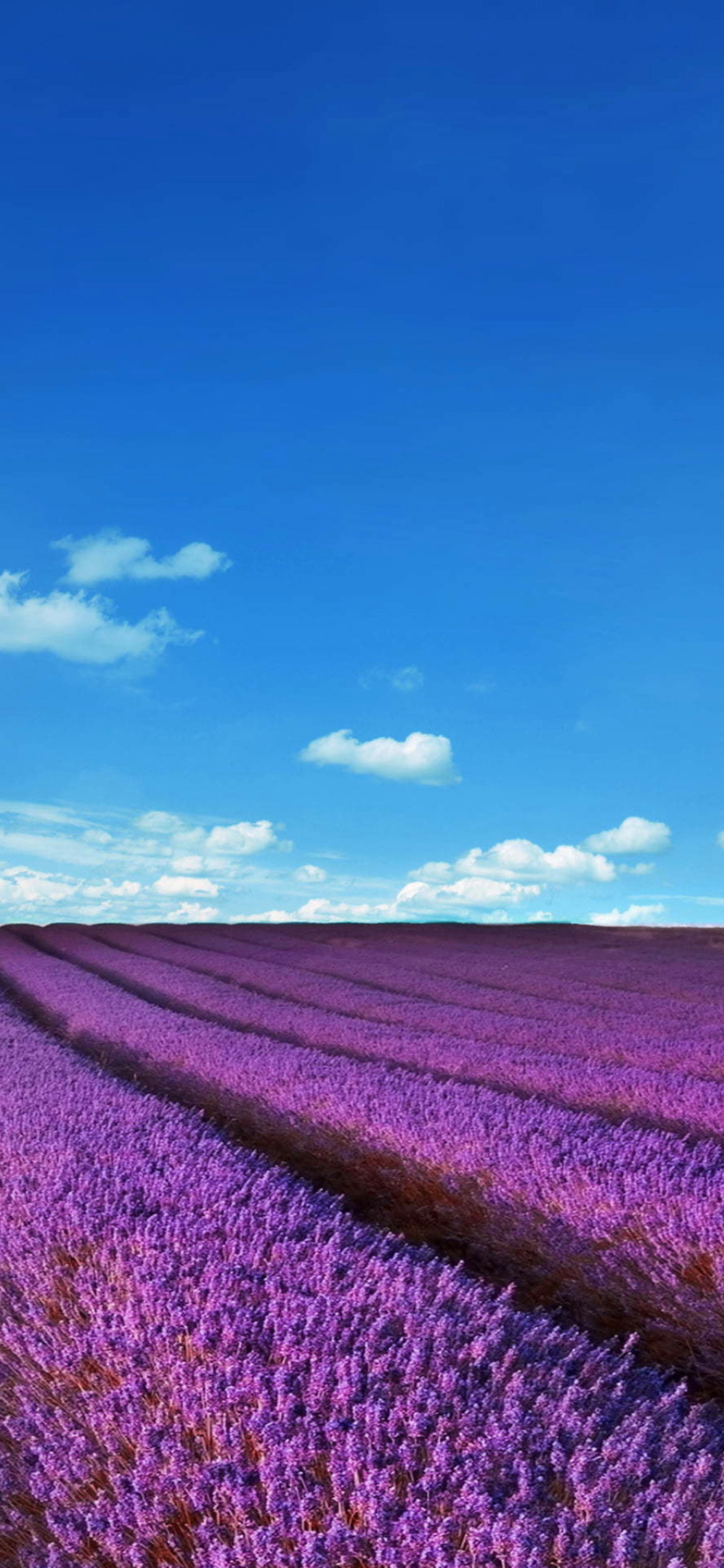 Screenshot №1 pro téma Lavender Fields Location 1170x2532