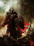 Обои Diablo III Warrior 132x176