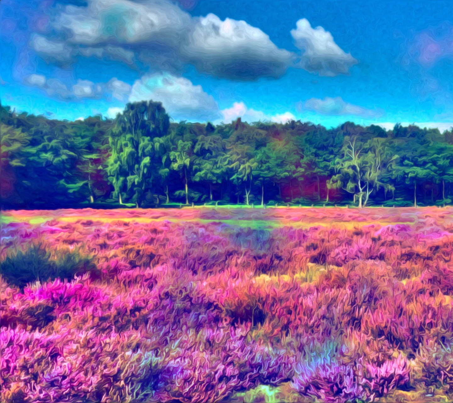 Field Of Color screenshot #1 1440x1280