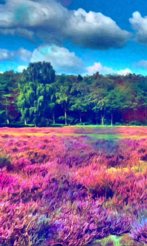 Field Of Color screenshot #1 480x800