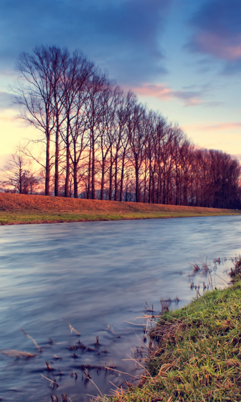 Autumn Landscape wallpaper 480x800