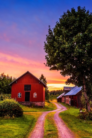 Das Countryside Sunset Wallpaper 320x480