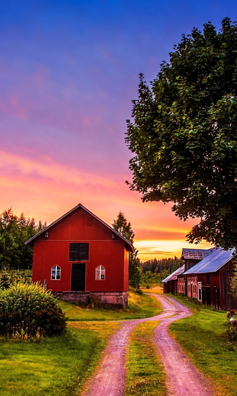 Fondo de pantalla Countryside Sunset 480x800