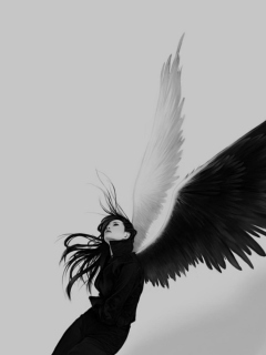 Das Night Angel Wallpaper 240x320