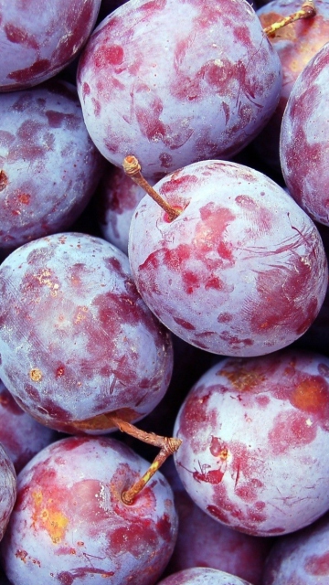 Fondo de pantalla Plums 360x640