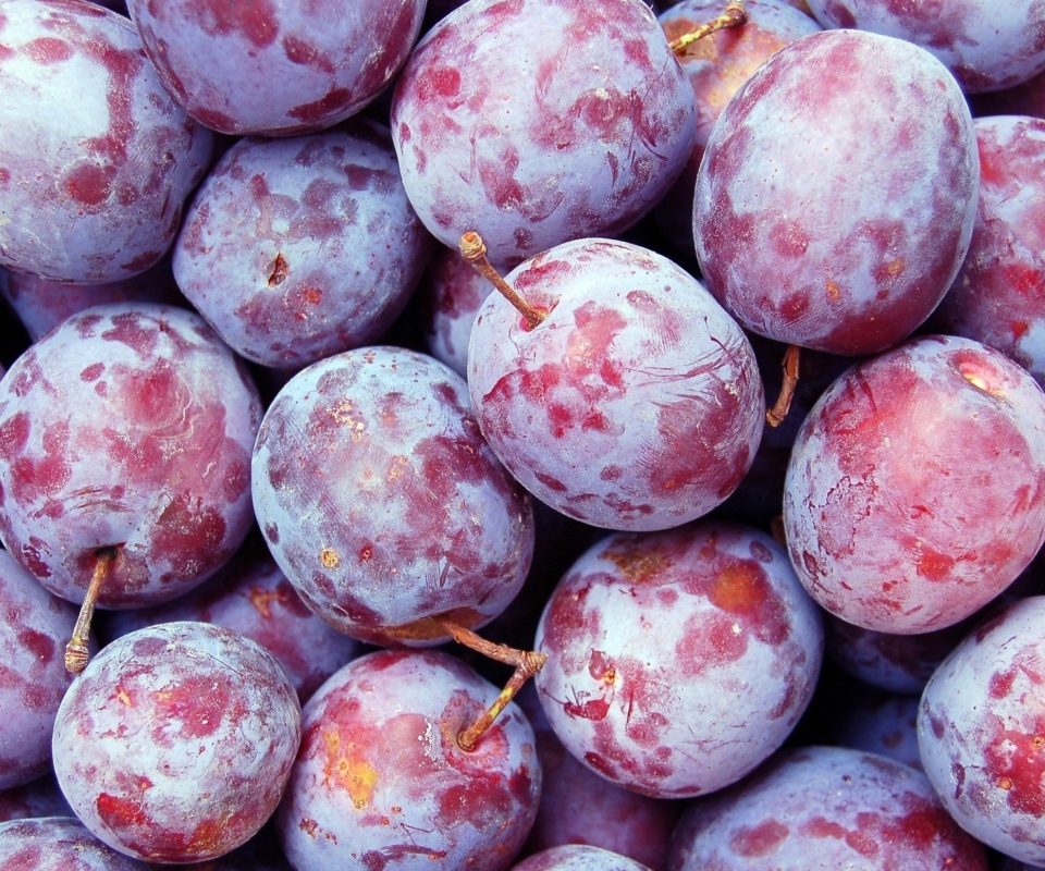 Sfondi Plums 960x800