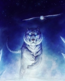 Fondo de pantalla Tiger & Owl Art 128x160