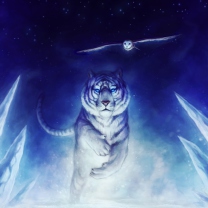Fondo de pantalla Tiger & Owl Art 208x208