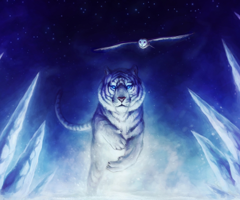 Das Tiger & Owl Art Wallpaper 960x800