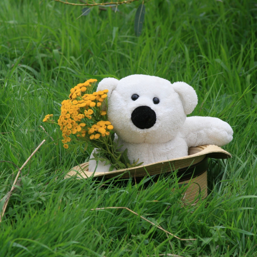 Обои White Teddy With Flower Bouquet 1024x1024