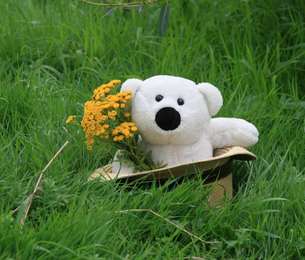 Sfondi White Teddy With Flower Bouquet 1200x1024