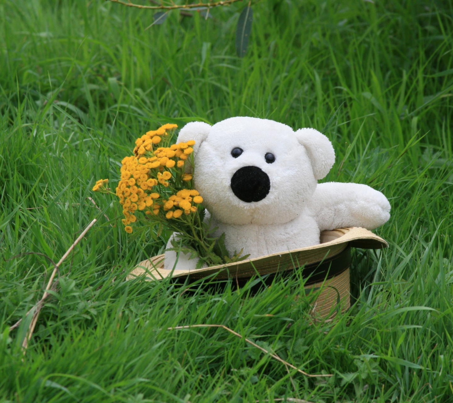 Обои White Teddy With Flower Bouquet 1440x1280