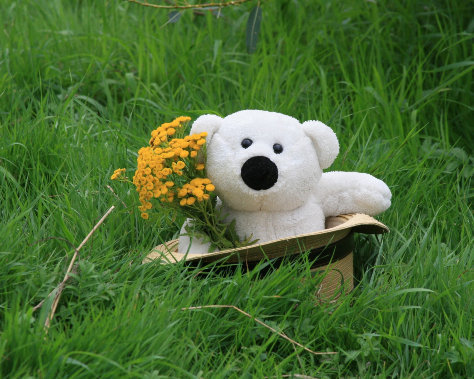 Sfondi White Teddy With Flower Bouquet 1600x1280