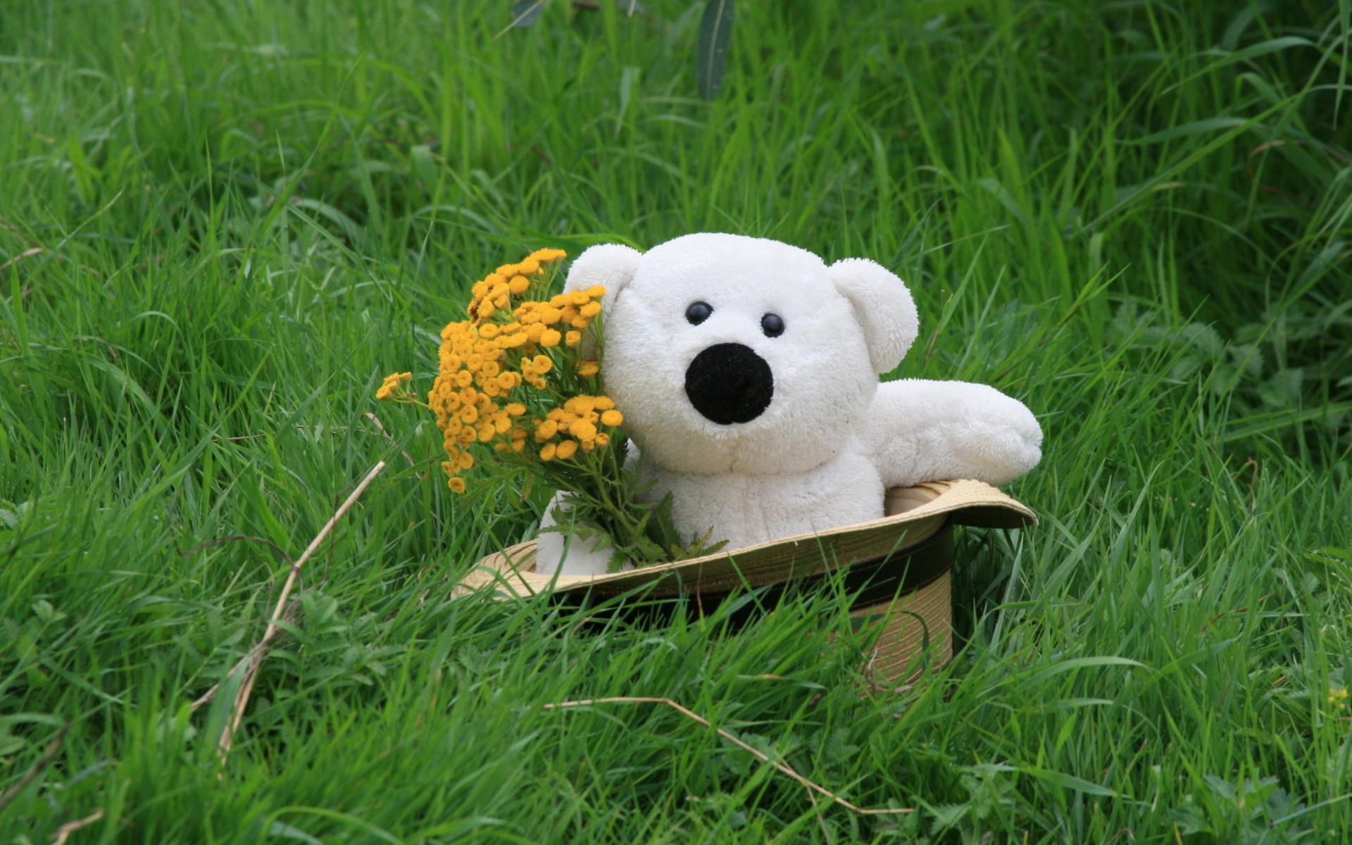 White Teddy With Flower Bouquet screenshot #1 1920x1200