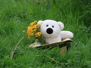 Обои White Teddy With Flower Bouquet 320x240