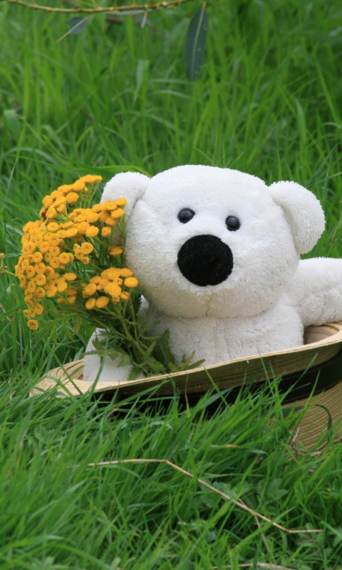 Das White Teddy With Flower Bouquet Wallpaper 480x800