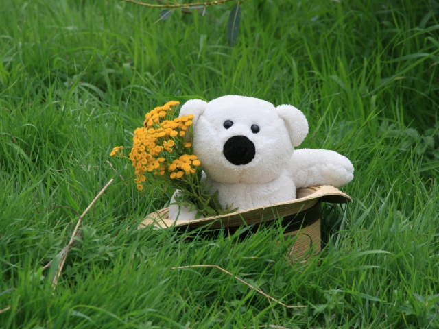 Обои White Teddy With Flower Bouquet 640x480