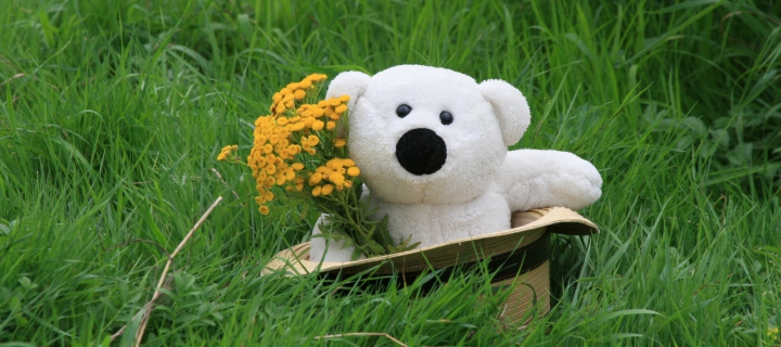 Sfondi White Teddy With Flower Bouquet 720x320