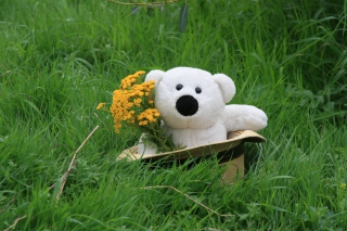 White Teddy With Flower Bouquet - Obrázkek zdarma 