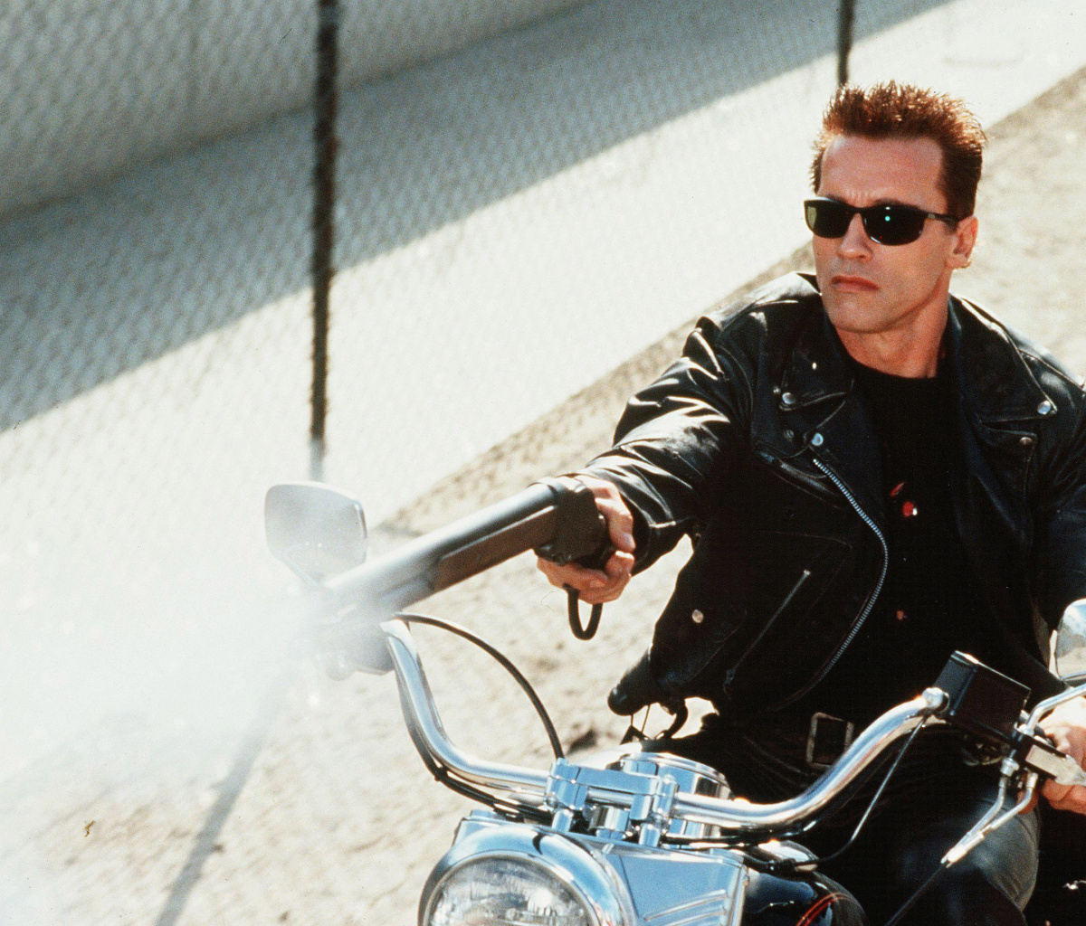 Das Arnold Schwarzenegger in Terminator 2 Wallpaper 1200x1024