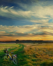 Das Riding Bicycle In Country Side Wallpaper 176x220
