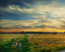 Riding Bicycle In Country Side wallpaper 220x176