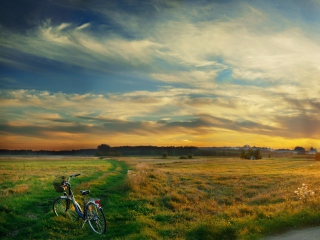 Riding Bicycle In Country Side wallpaper 320x240