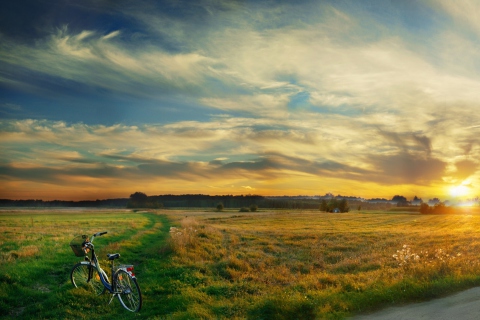 Обои Riding Bicycle In Country Side 480x320