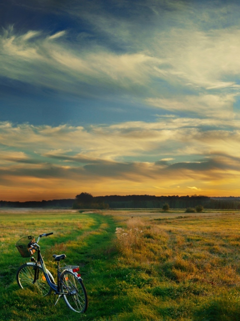Riding Bicycle In Country Side screenshot #1 480x640