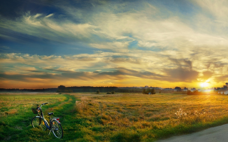 Riding Bicycle In Country Side wallpaper
