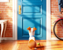 Screenshot №1 pro téma The Secret Life of Pets 220x176