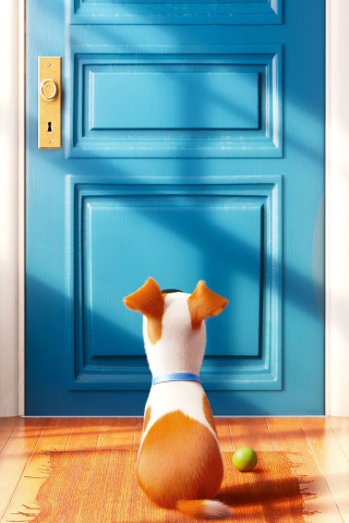 The Secret Life of Pets wallpaper 320x480