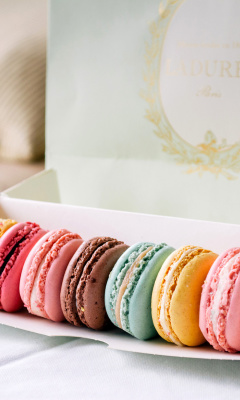 Обои Macaron Allsorts 240x400