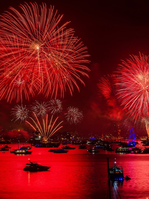 Fondo de pantalla Asian Holiday fireworks 480x640