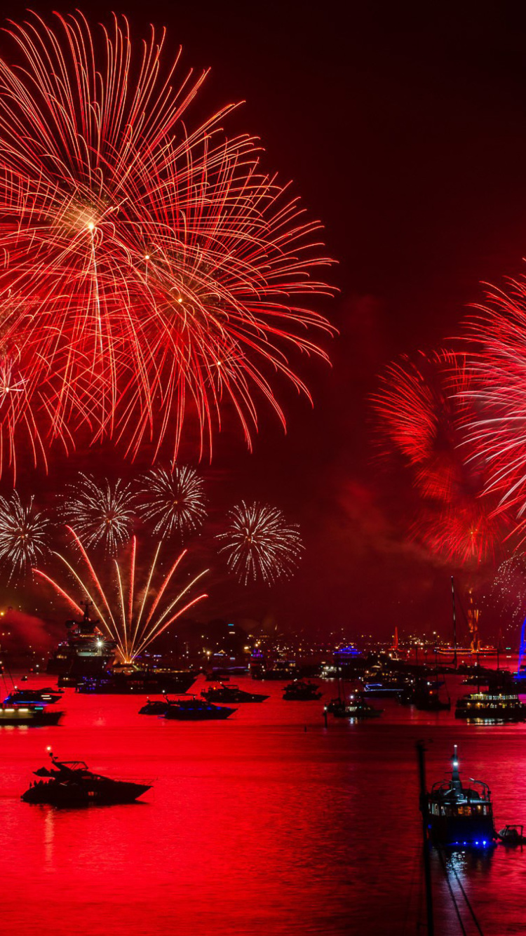 Sfondi Asian Holiday fireworks 750x1334