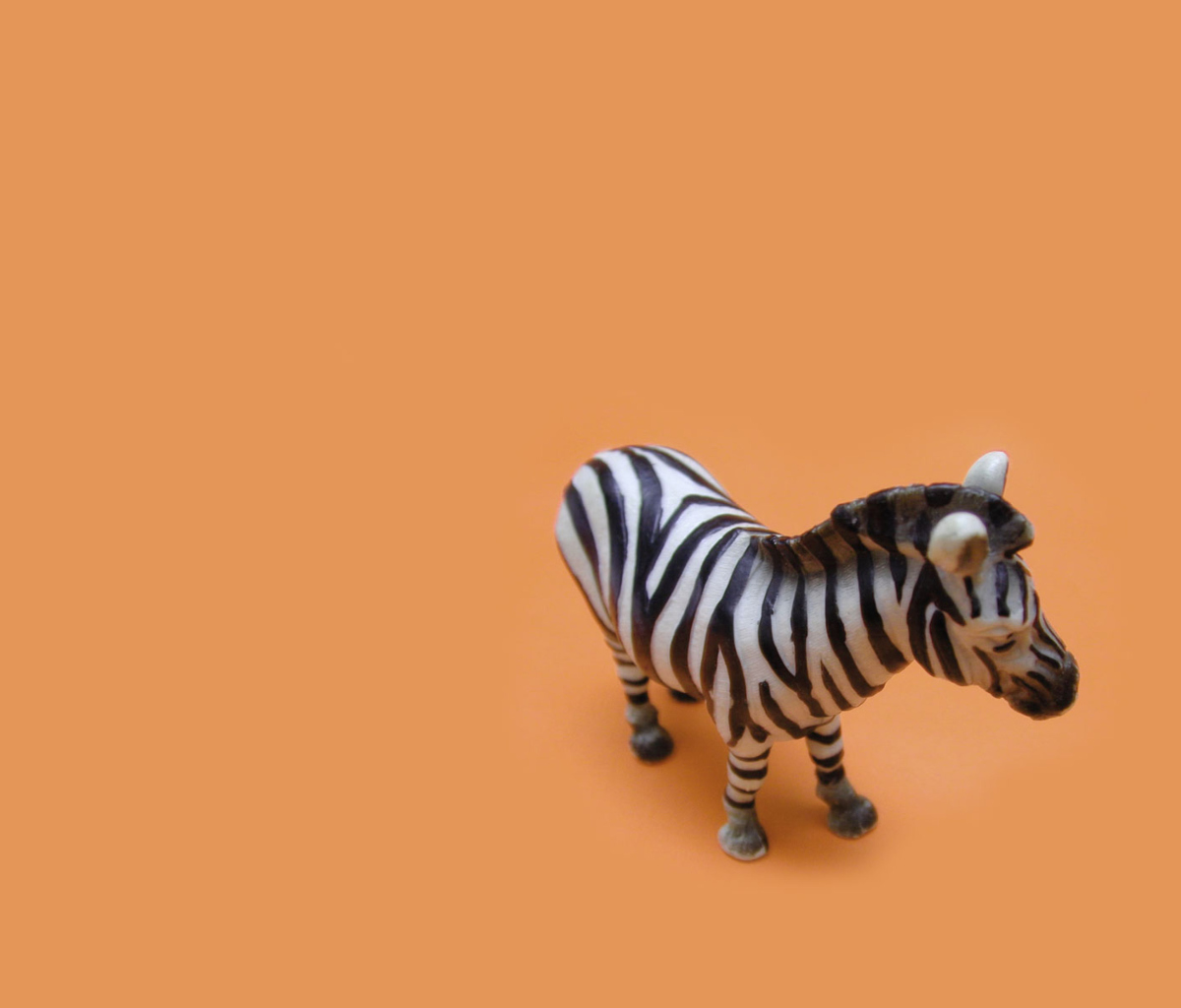 Fondo de pantalla Zebra Toy 1200x1024