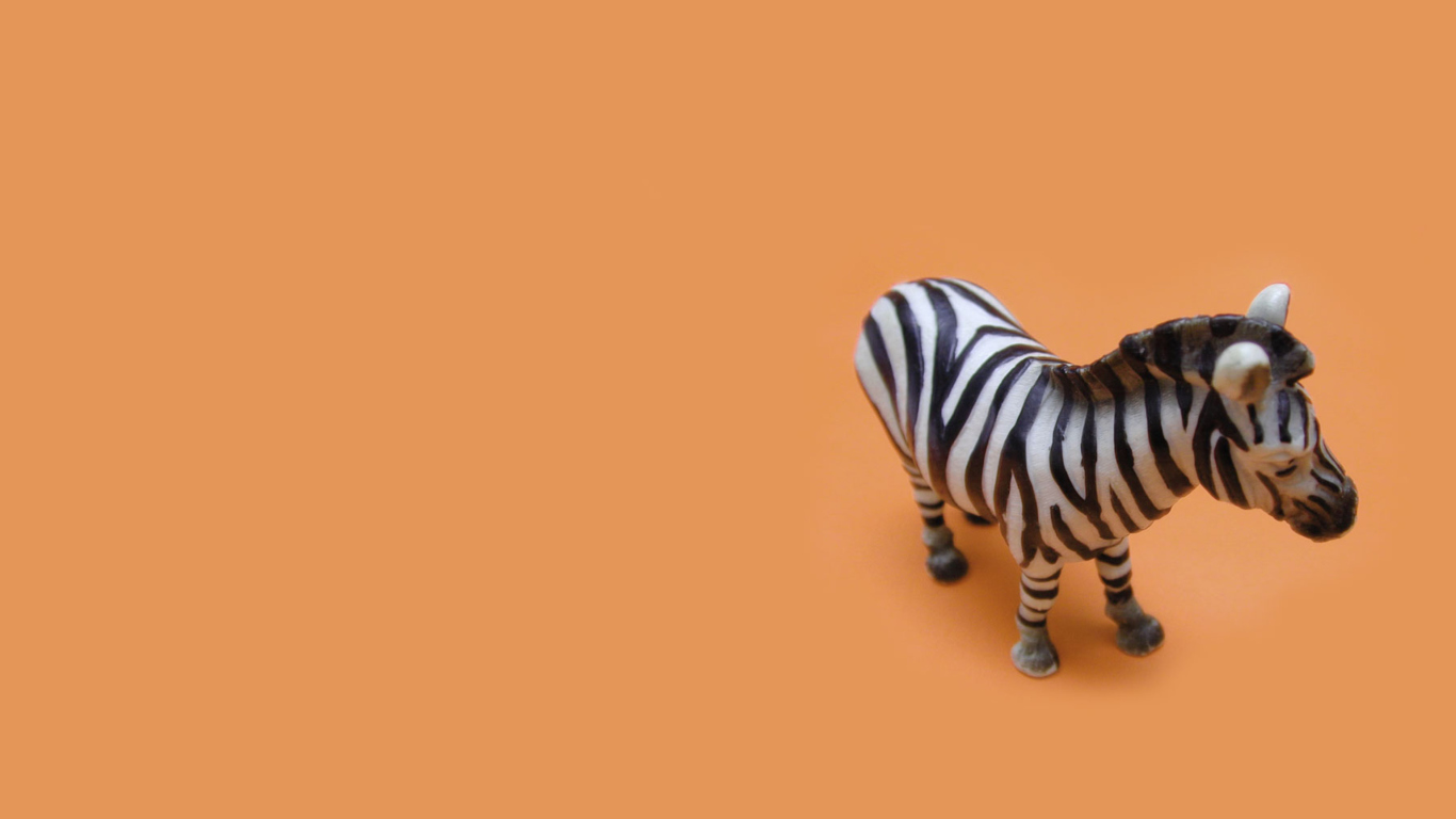 Обои Zebra Toy 1366x768