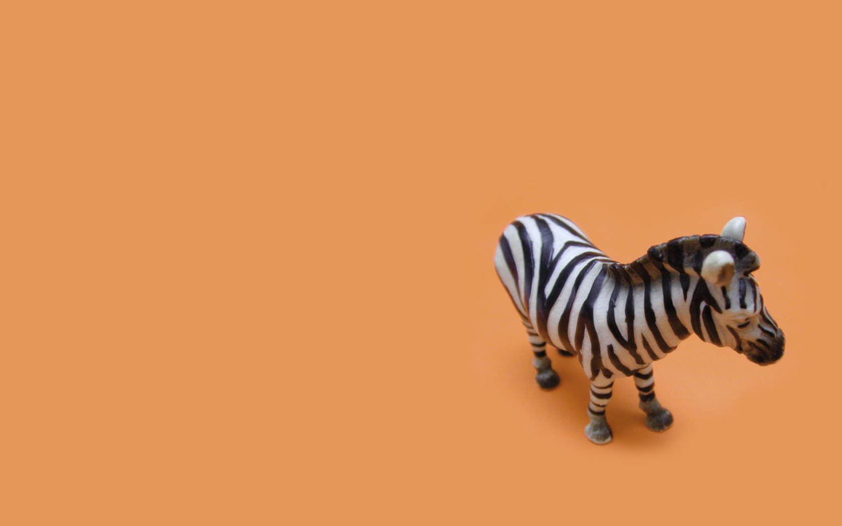 Sfondi Zebra Toy 1680x1050