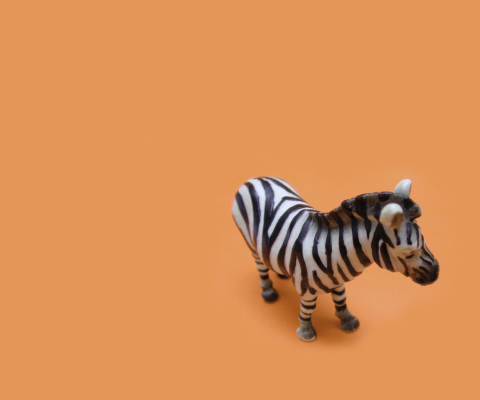 Das Zebra Toy Wallpaper 480x400