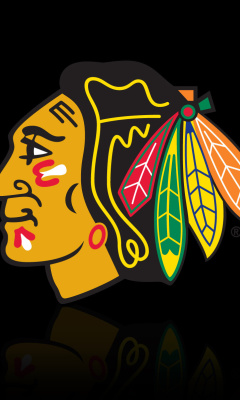 Sfondi Chicago Blackhawks 240x400