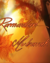 Das Ramadan Mubarak Wallpaper 176x220